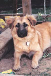 1992_Winter_Sand_what_sand.thumb (21K)